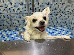 -FAELING PETS美天灵宠物(富力广场店)