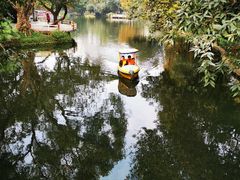 -晓港公园