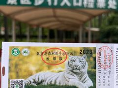 -秦皇岛野生动物园