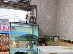 -煲来饱去冷水鱼