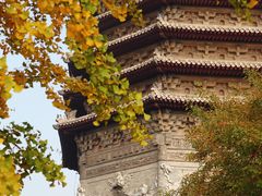 -玲珑塔公园