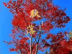 -崂山巨峰游览区