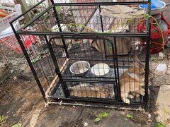 -马陆小张葡萄园农家乐