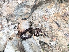 -鬼笑石后山停车场
