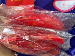 -广州长隆国际大马戏