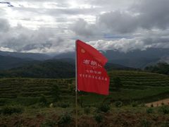 -七彩云南茶(七彩云南第壹城店)