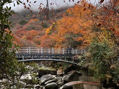 -光雾山旅游景区