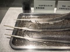 -白洋淀景区