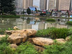 -花果园湿地公园