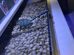 -聚盛源蒸汽海鲜火锅烤肉自助(巨川金海岸购物广场店)