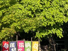 -贡湖湾湿地公园