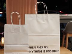 -WHEN PIGS FLY当猪飞