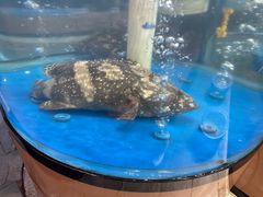 -琼菜人家·海南菜·文昌鸡(文昌大道店)