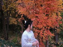-黑龙江省森林植物园