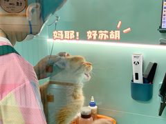 -猫宠乐园·专业洗护