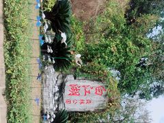 -广州白江湖森林公园