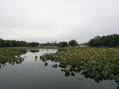 -长春市南湖公园