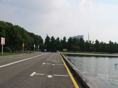 -金陵图书馆