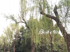 -蜀冈西峰生态公园