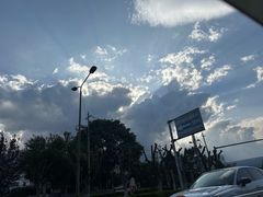 -洱海月湿地公园