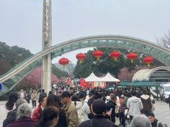 -南山植物园