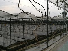 -成都美盈都市现代农业示范园