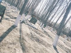 -亲兄弟真人CS团建拓展基地