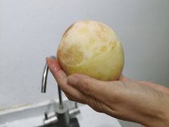 -南汇新场正宗水蜜桃采摘