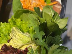 -草原塞蛮羊火锅城(港湾店)