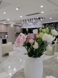 -智美品质医美