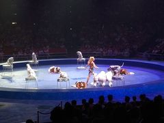 -珠海横琴长隆《卡卡虎奇遇记》