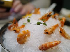 陈年花雕醉斑节虾-海味观(老西门店)