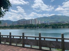 -醉美东江·三文鱼·烧鸡公