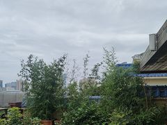-小茶闲舍·观景商务茶馆(广州塔店)