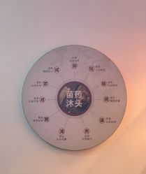 -岳灵生发养发馆