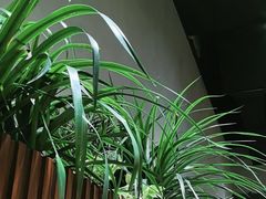 -乐班 Le'ban(凯德新地城店)