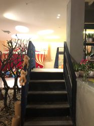点击看大图 -Cocodemer 产后恢复中心(多伦路店)