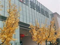 -王府井奥莱临潼小镇(临潼店)