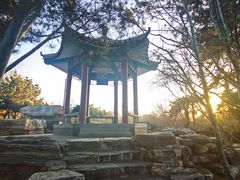 -丰台花园