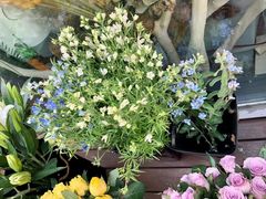 -ChaKo Flora ·茶子花艺 (市北店)