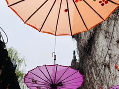 -鱼食饭稻·苏浙土菜17年老馆子(平江路店)