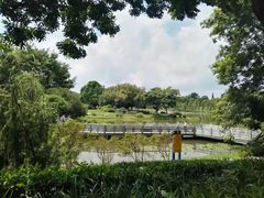 -东莞植物园