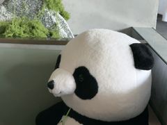 -眉州东坡(翠微印象城店)