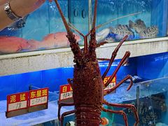-东江海鲜大排档·潮汕菜·砂锅粥