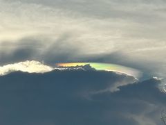 -东郊椰林
