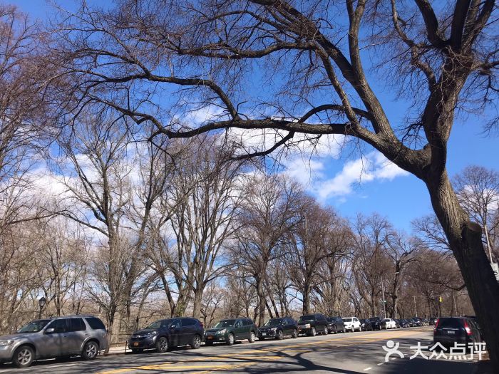 riverside park - hippo playground图片