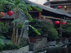 -猪肉婆私房菜(容桂总店)