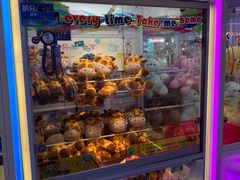 -PAWTOY爪e玩偶店(天兴罗斯福店)