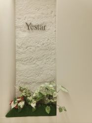 -深圳艺星医疗美容医院