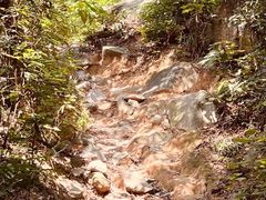 -火炉山森林公园